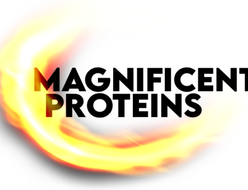 Magnificent Proteins